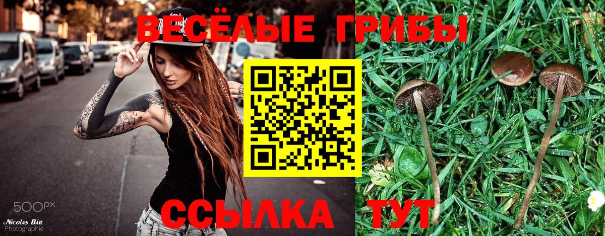 Галлюциногенные грибы прущие грибы Кохма